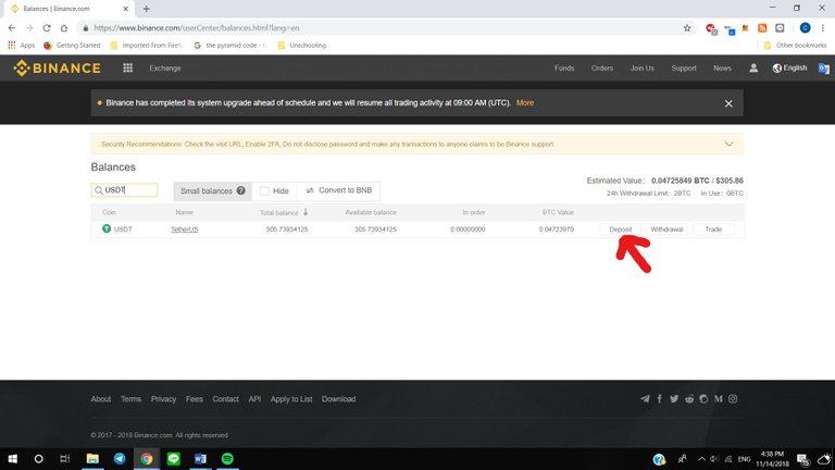 Binance Balances USDT_LI.jpg