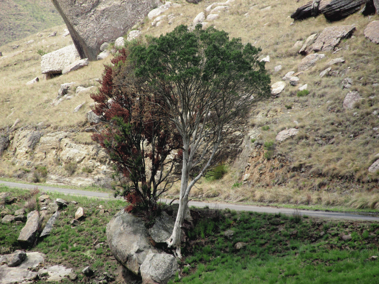 2948-CrackingRocks.png
