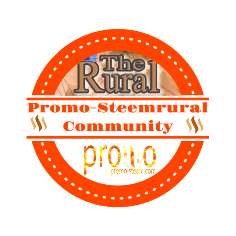 Promo-Steemrural logo.png