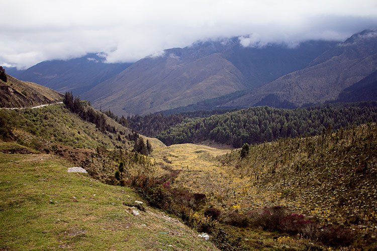 Parques-nacionales-de-Venezuela-Sierra-Nevada.jpg