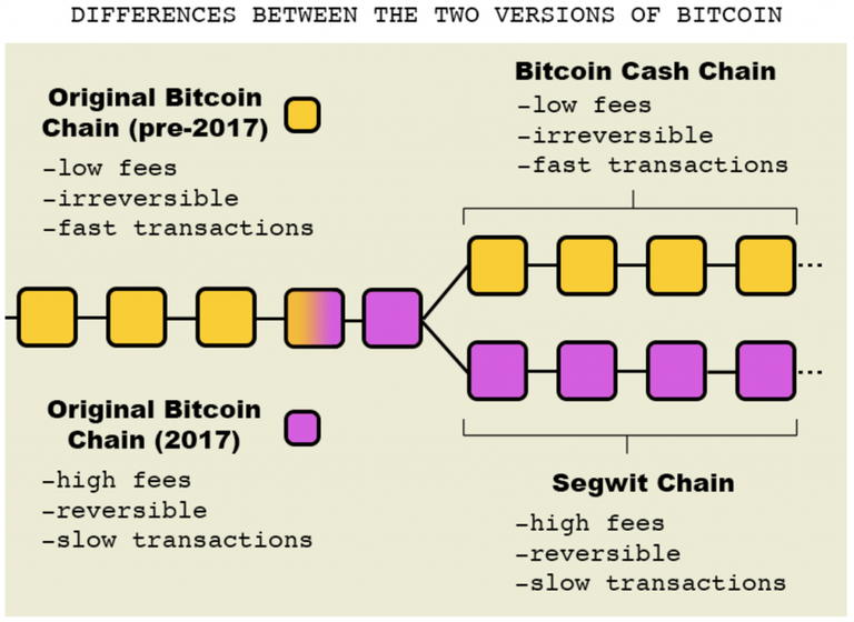 difference-between-two-forms-of-bitcoin-1024x747.png
