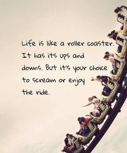 1lifeisarollercoaster.jpg