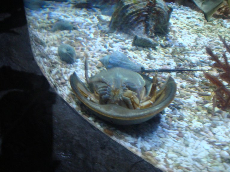 PIC1.jpg
