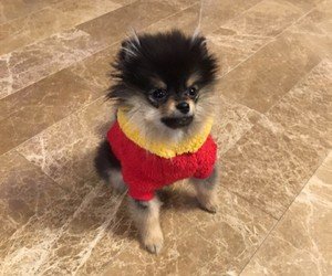 yeontan.jpg