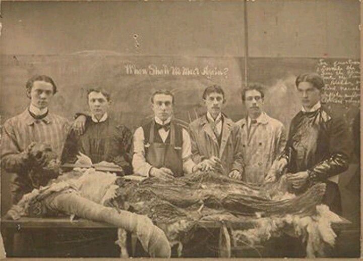 estudiantes de medicina con un cadáver 1900.jpg