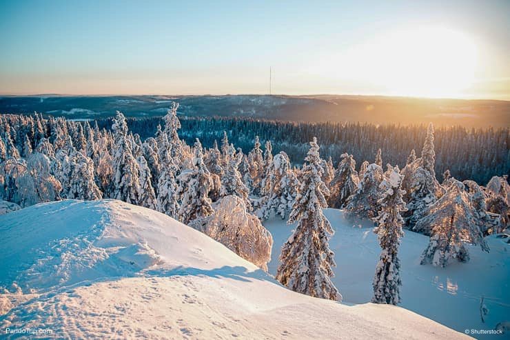 Koli-National-Park-in-Finland-during-winter.jpg