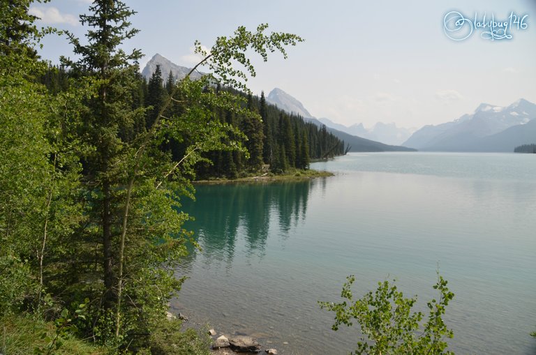 maligne lake.jpg