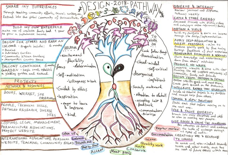 Diploma Pathway Seed.jpg