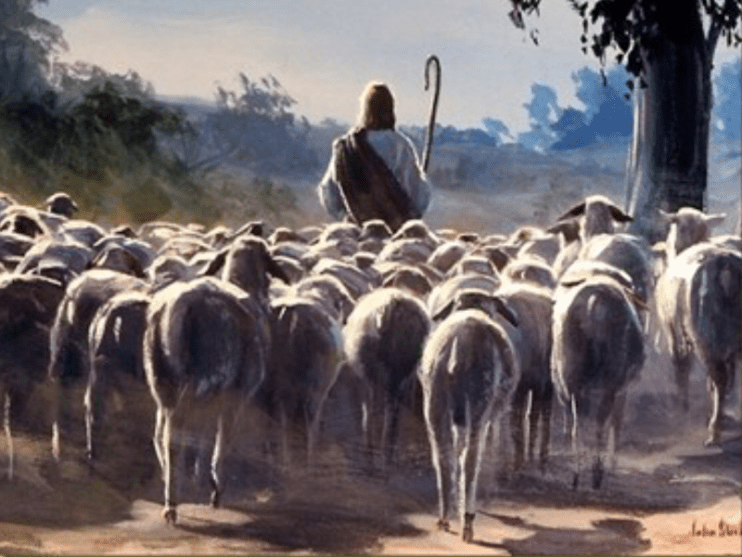 headerImage-jesusSheep-01.png