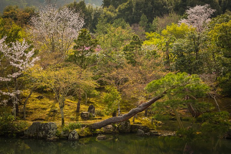 Kyoto temple landscape-3.jpg