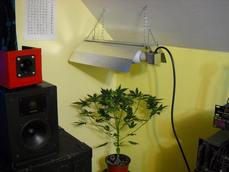 DSCN1035.JPG