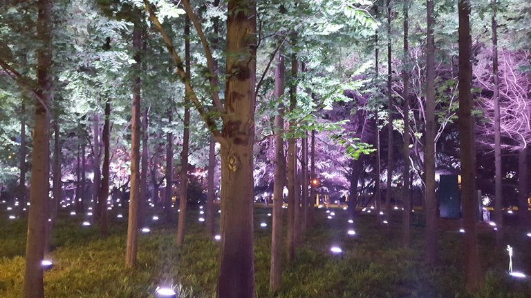 20180526_200341.jpg