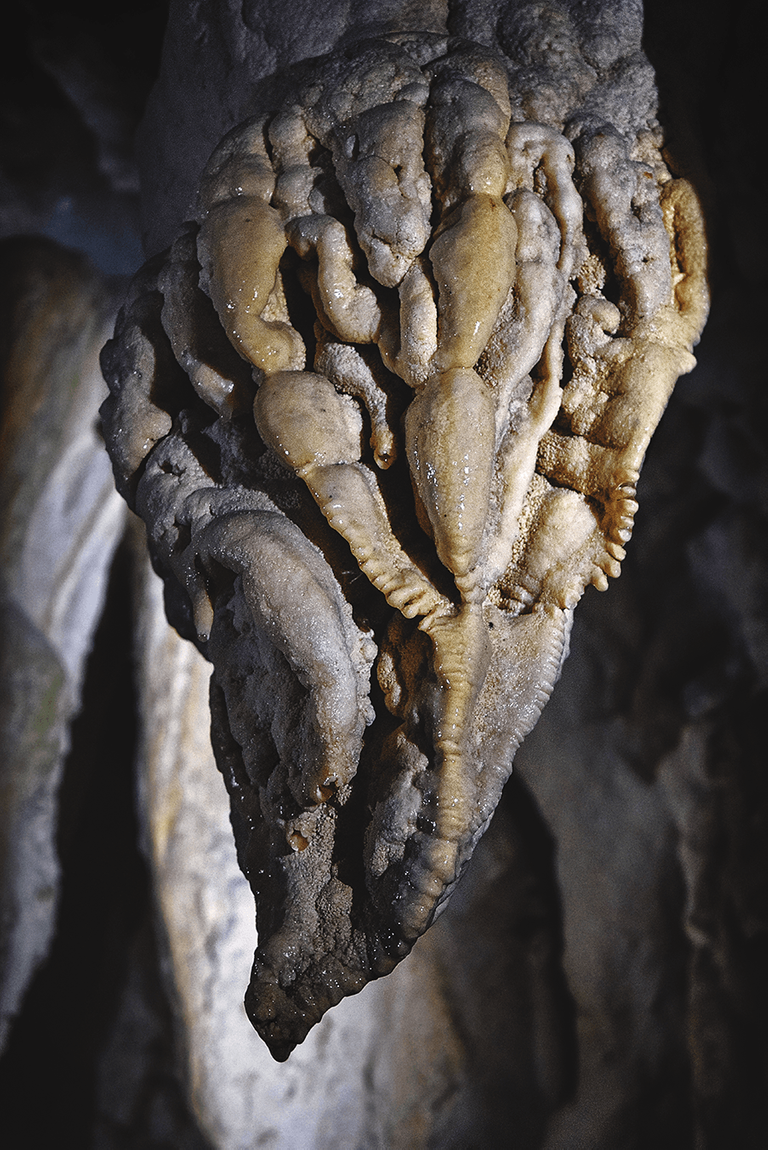 crimsonclad aranui cave formations in new zealand detail