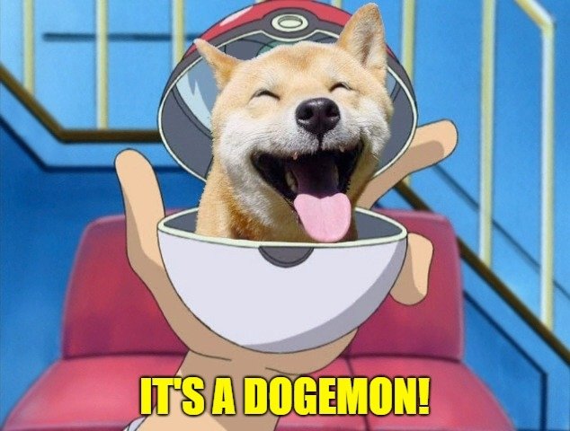 Dogemon meme.jpg