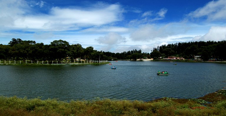 Yercaud_lake.jpg