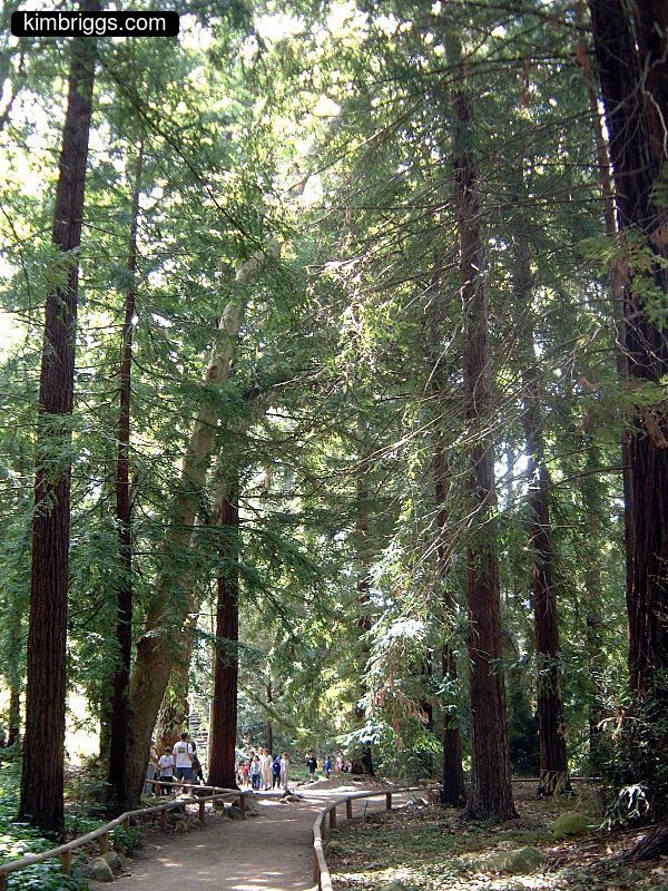 08b-santa-barbara-botanical-gardens.jpg