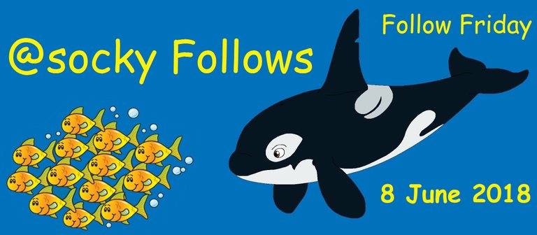 orca follow5.jpg