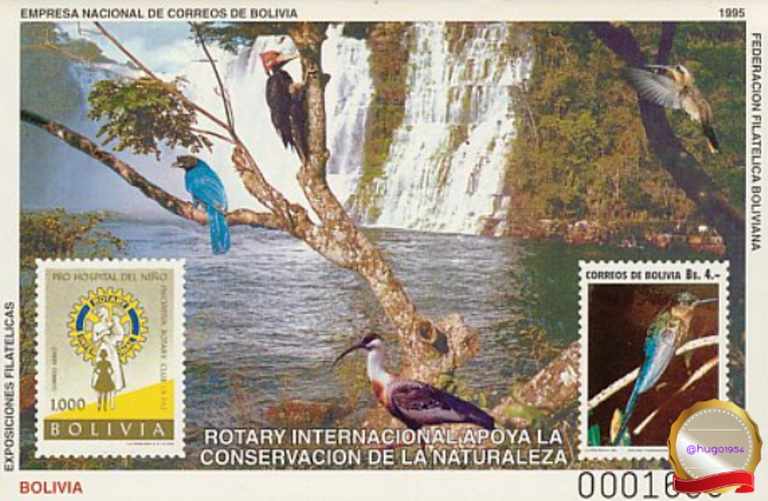 25.-Los-pajaros-en-la-filatelia-latinoamericana-Bolivia.png