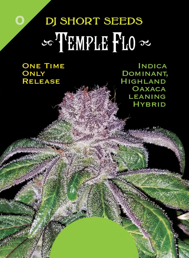 Temple Flo Card 1 Front.jpg
