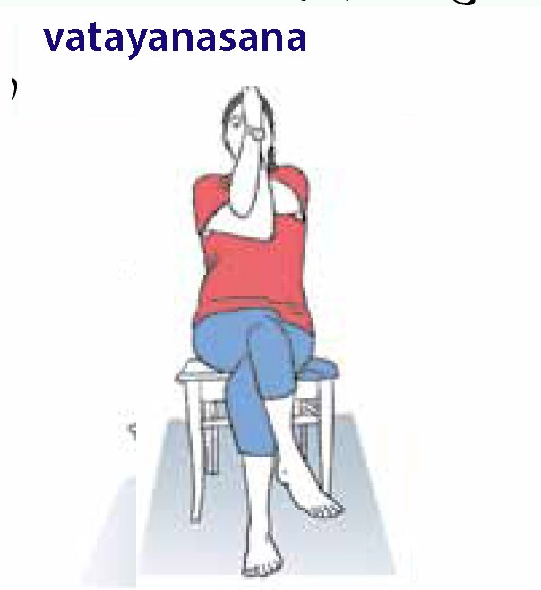 vatayanasana.jpg