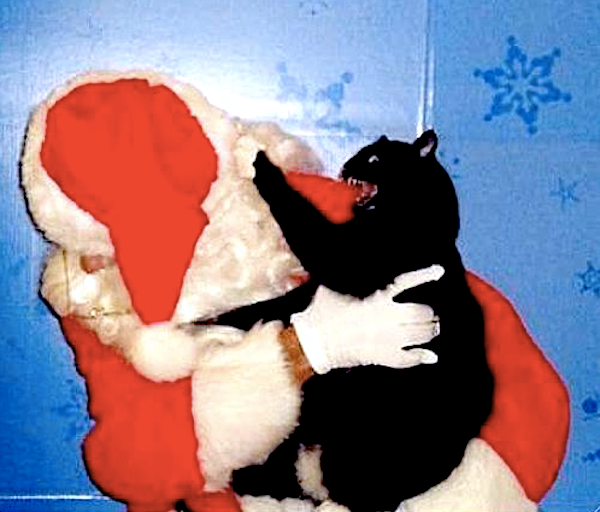 SantaBlackCatBlackFriday_13.png