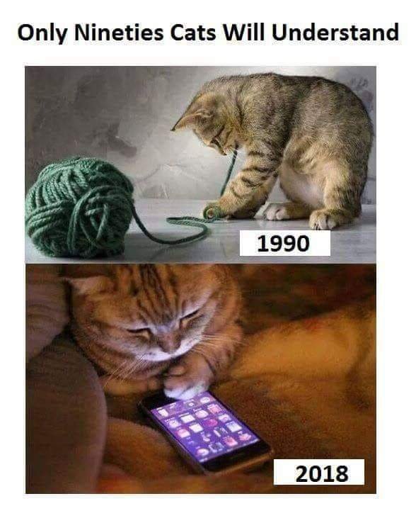 90s-cats.jpg