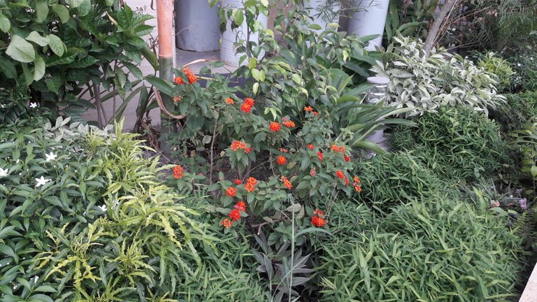 20180906_133037.jpg