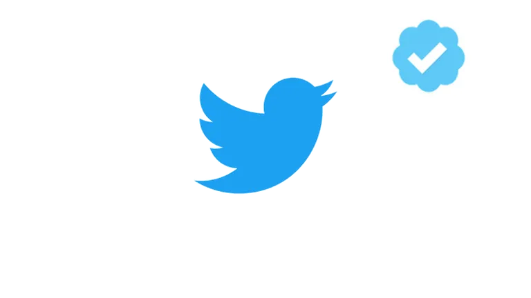 how-to-get-your-twitter-account-verified-thumb2_thumb800.webp