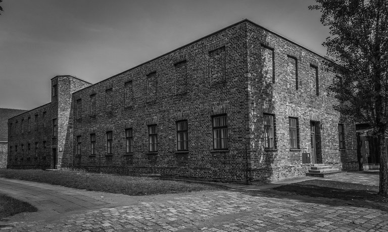 auschwitz-4449839_1280.jpg