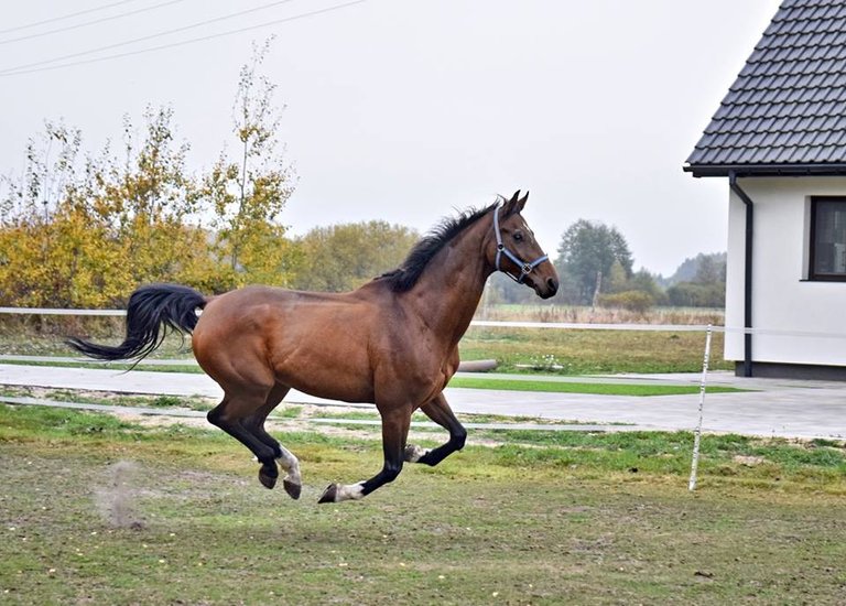 pierwszydzien2 lewitacja.jpg