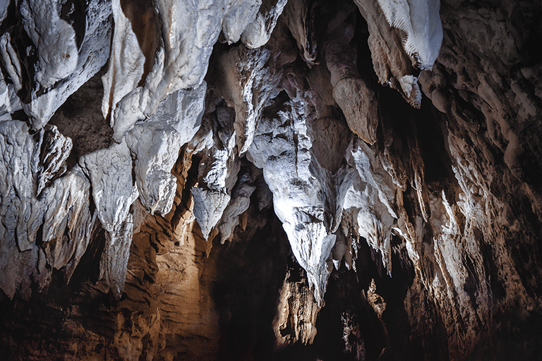 crimsonclad aranui cave formations in new zealand