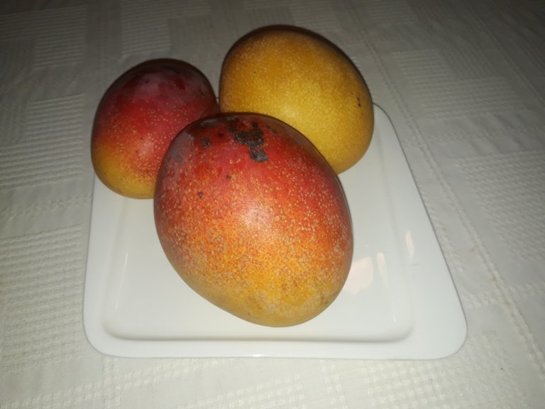 20180813_193648.jpg