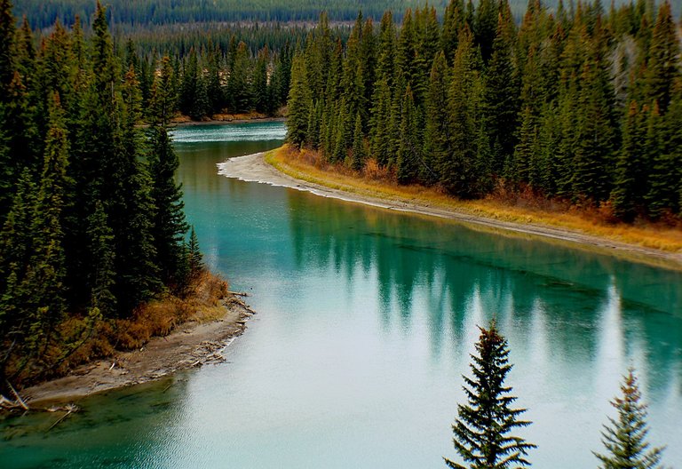 green-trees-surrounding-lake-219972.jpg