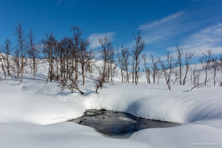 Nygårdsfjellet-10.jpg