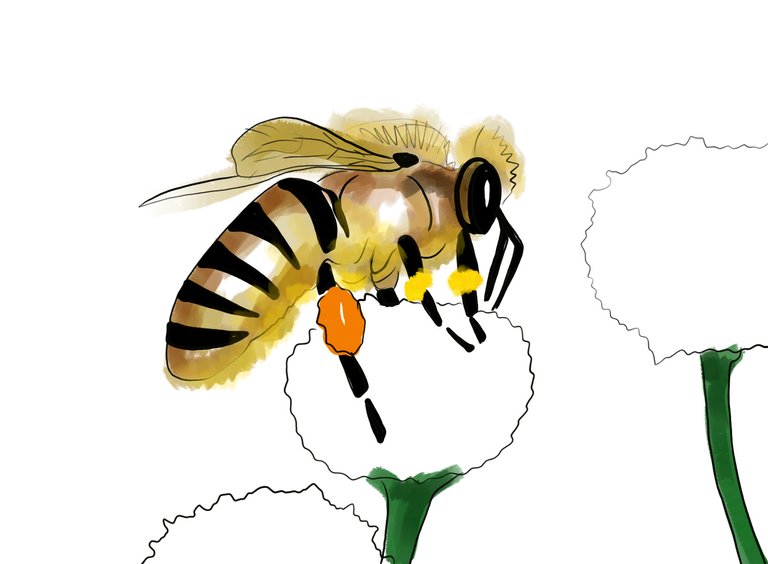 Bee (353).jpg