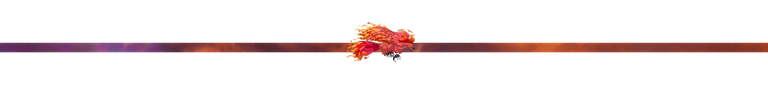 elementalphoenix.png