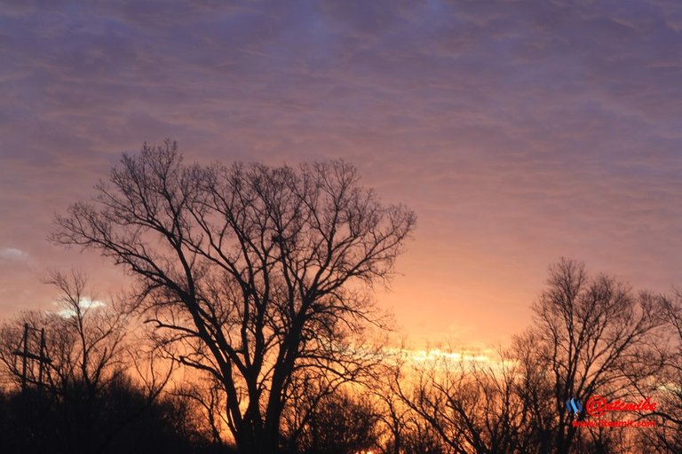 morning dawn sunrise golden-hour skyscape landscape IMG_0443.JPG