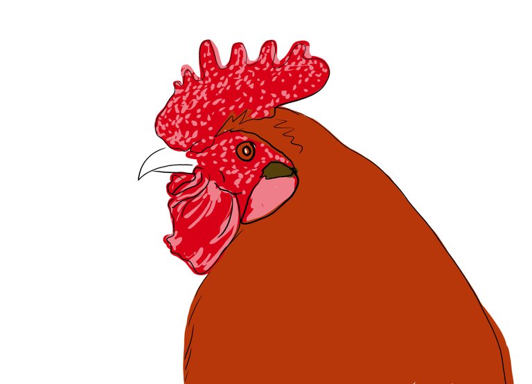 rooster(573).jpg