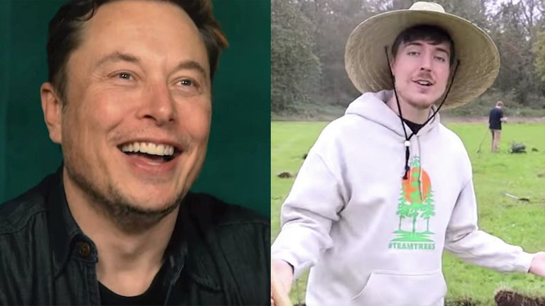 mrbeast-elon-musk-tree-planting-team-trees-plant-project-youtube.jpg