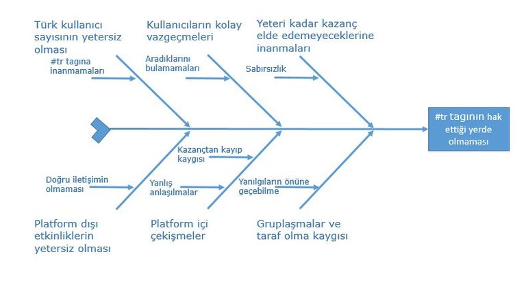 Balık kılçığı.JPG