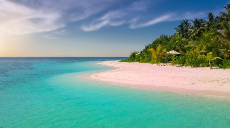 beach-coast-coconut-trees-221471.jpg