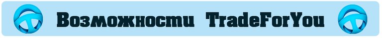 Возможности TradeForYou.jpg