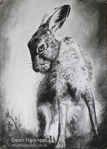 Charcoal Hare smaller.jpg