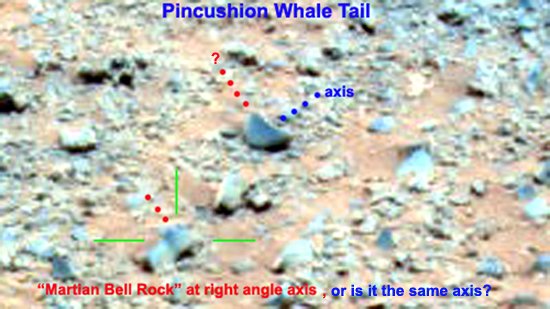 Pincushion Whaletail with Bell Rock.jpg