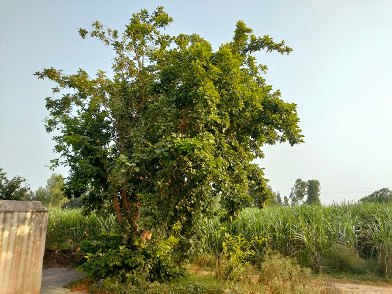 IMG20230913165009.jpg