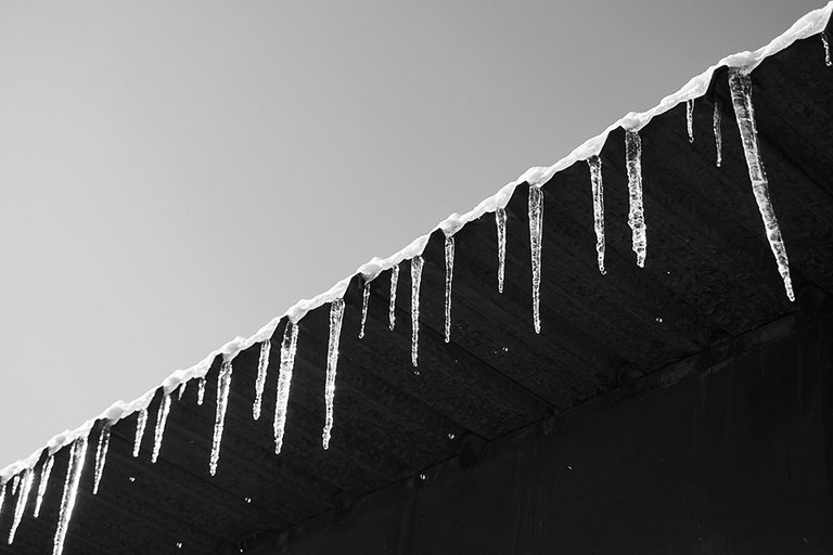 Icicles_2020_011_s_BW.jpg