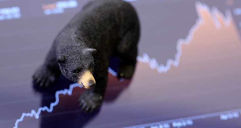 Bear-Market.jpg