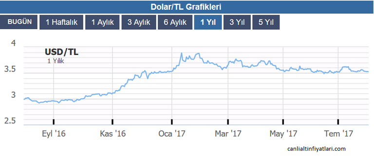 dolar_ne_olacak_2018.png