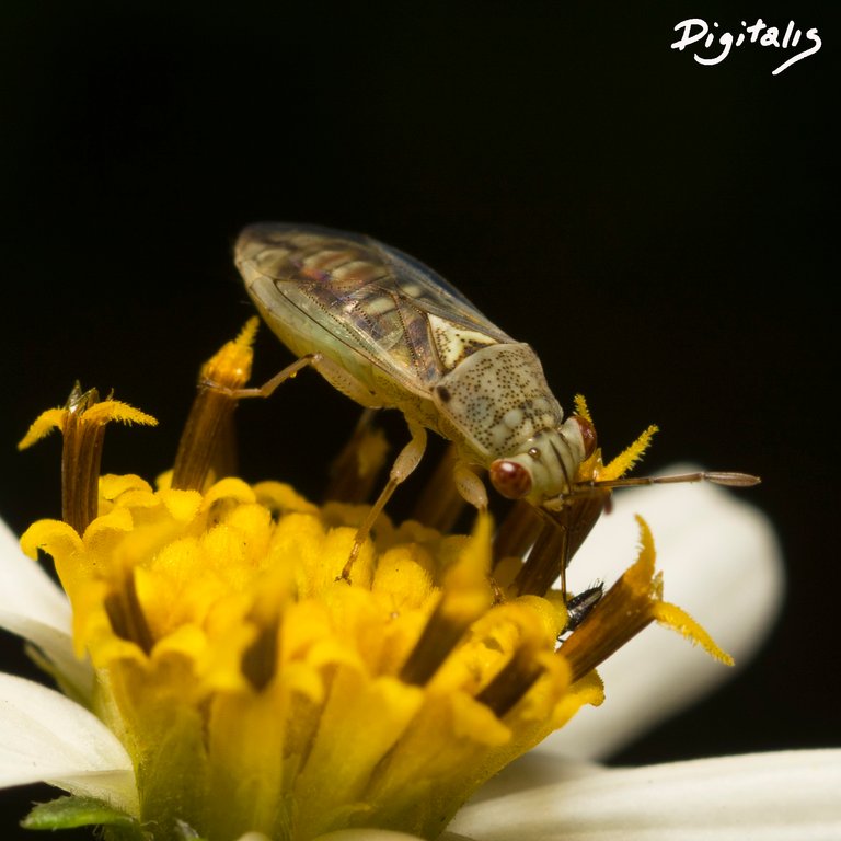 DSC_2227.jpg