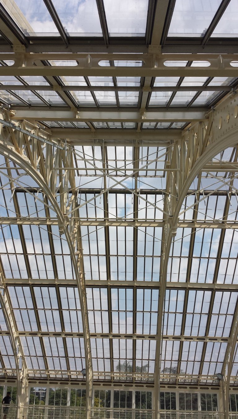 temperate roof glass.jpg